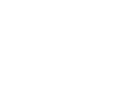 Link to Mount Vernon Root Canal Specialists home page
