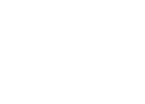 Link to Mount Vernon Root Canal Specialists home page